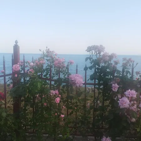 Διαμέρισμα Noks Grand Wave&dreams *