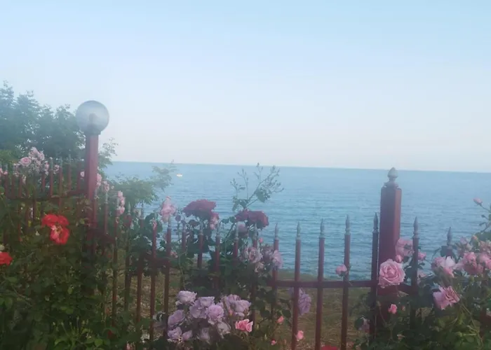 Noks Grand Wave&dreams Apartment