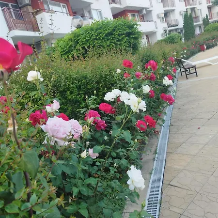 Noks Grand Wave&dreams Apartment *