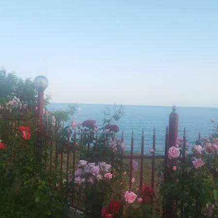 Noks Grand Wave&dreams Apartamento