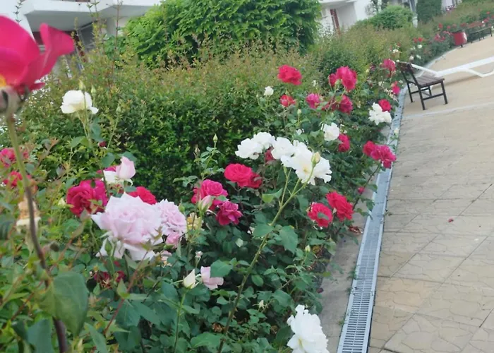 Noks Grand Wave&dreams 아파트 *