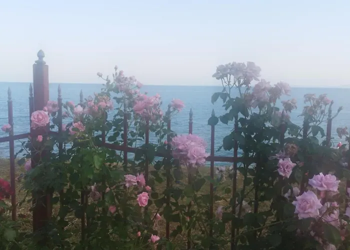 아파트 Noks Grand Wave&dreams *